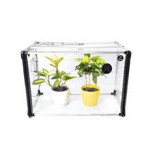 Charger l&#39;image dans la galerie, Indoor Mini greenhouse Broody L with grow light for Indoor Plant Care
