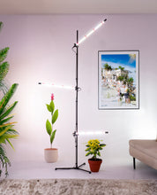 Load image into Gallery viewer, Metaflex IO-3 Floor led grow light for plant, led light stand, indoor LED Standing Corner Floor Lamp and floor lamp for office decor
