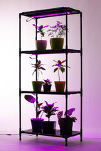 Load image into Gallery viewer, Floor Shelf for Flowers Lima 60 Bicolor
