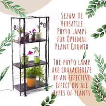 Cargar imagen en el visor de la galería, Indoor Mini greenhouse Broody XL Black Strong with grow light for Indoor Plant Care
