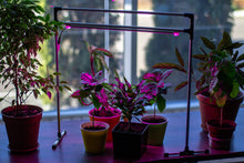 Load image into Gallery viewer, Adjustable LED phyto lamp Metaflex Uno Bicolor for plants, phyto lamp for windowsill
