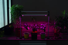 Load image into Gallery viewer, Adjustable LED phyto lamp Metaflex Uno Bicolor for plants, phyto lamp for windowsill
