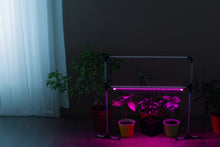 Load image into Gallery viewer, Adjustable LED phyto lamp Metaflex Uno Bicolor for plants, phyto lamp for windowsill
