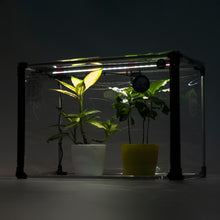 Charger l&#39;image dans la galerie, Indoor Mini greenhouse Broody L with grow light for Indoor Plant Care
