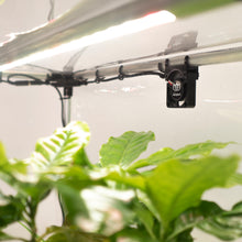 Charger l&#39;image dans la galerie, Indoor Mini greenhouse Broody L with grow light for Indoor Plant Care
